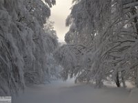 2017-12-29 V. del Morretano 032